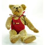 Vintage Large 16" Mohair Teddy Bear in knitted bathing costume with scouts badge. Large brass bell