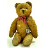 A well loved but still delightful in appearance vintage bear. Named Linus. Some age wear. Likely
