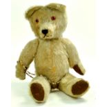 A vintage bear issue, lighter fur, no labelling or markings. Maintains a good appearance with some