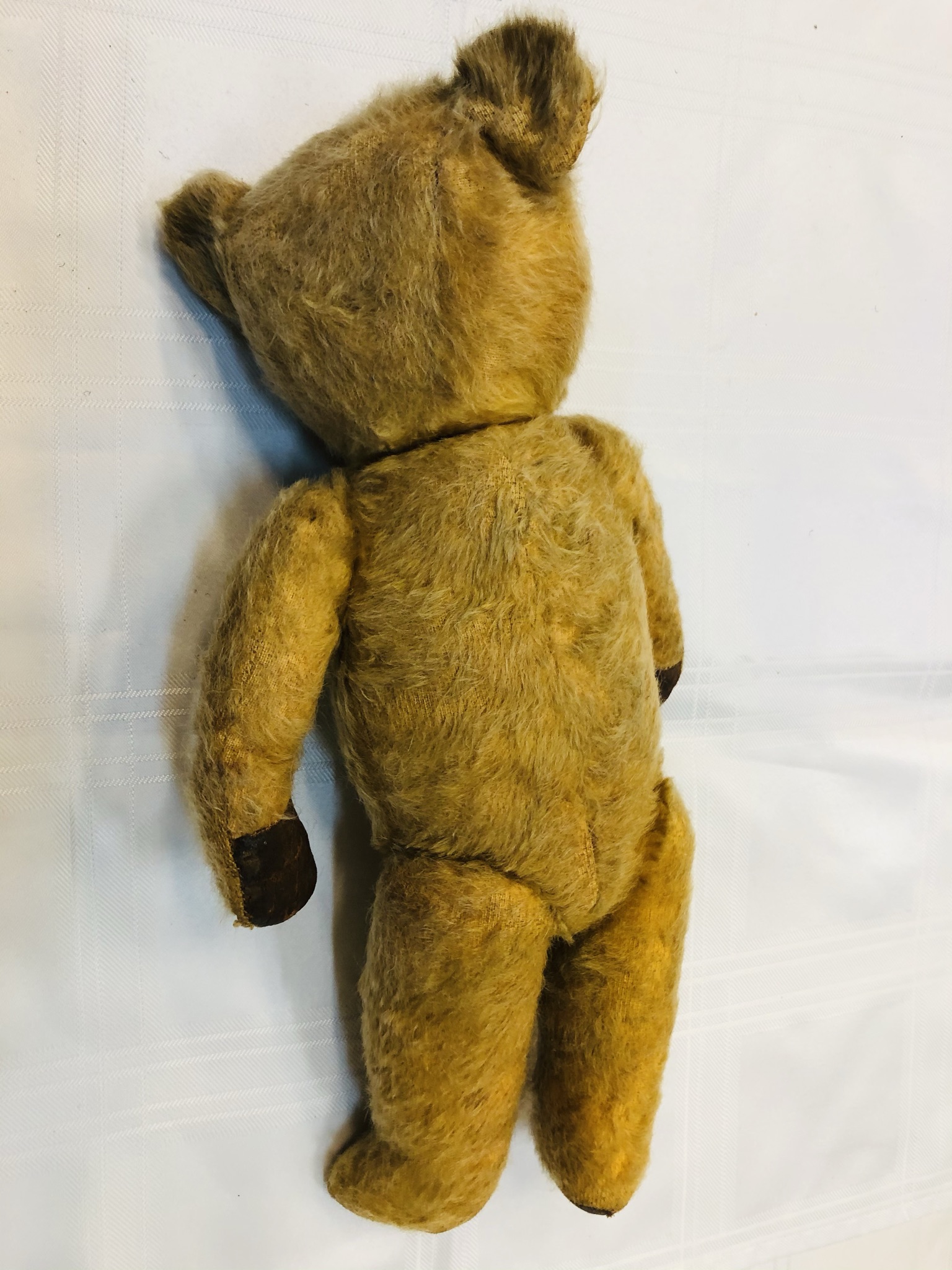 A handsome vintage bear with plenty of age wear but still charismatic in appearance. Likely - Image 4 of 4