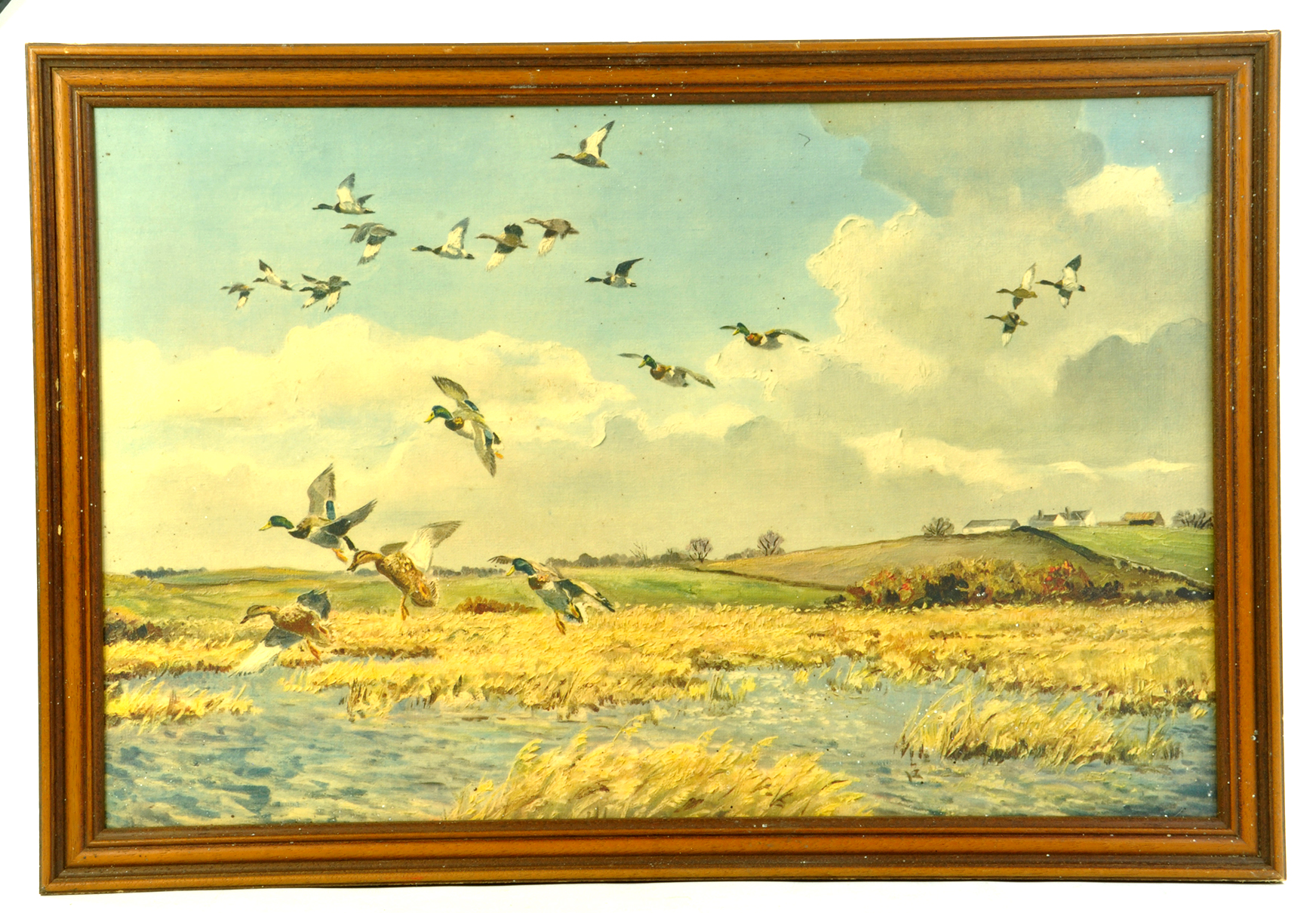 A large Framed attractive print, Wildfowl Marshland scene. Possibly Peter Scott. Enhanced