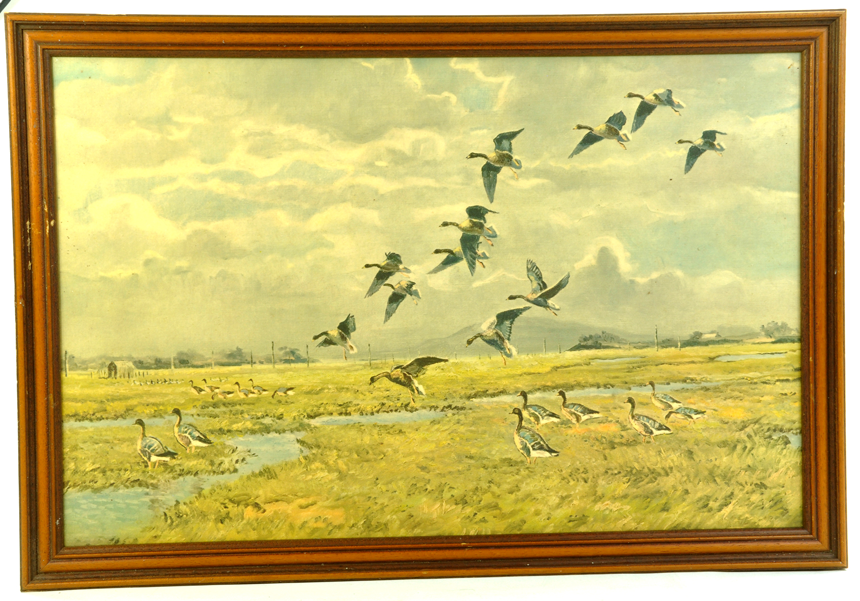 A large Framed attractive print, Wildfowl Marshland scene. Possibly Peter Scott. Enhanced