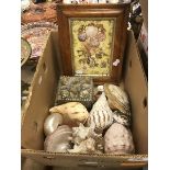 A box containing various seashells and shell covered box inscribed "Toulon" and a maple framed