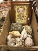 A box containing various seashells and shell covered box inscribed "Toulon" and a maple framed