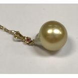 A single South Sea pearl necklace on chain