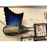 A mounted Sailfish with original fish beak and jaw (remainder fibreglass replica)