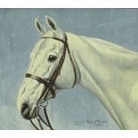 SUSAN TERROT "Grey Hunter", head study of a horse, oil on canvas, signed and dated 1934 lower right,