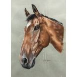 JENNY LISTER "It's Bill", a study of a horse's head, watercolour and gouache heightened in white,