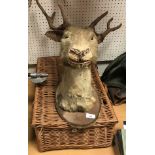 A taxidermy stuffed and mounted Stag's head,