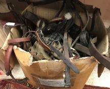 Two boxes of various equestrian tack including head collars, girths, bits,