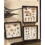 A framed and glazed collection of Lepidoptora (Moths, Butterflies, etc),