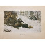 AFTER ARCHIBALD THORBURN "Woodcock" coloured print,