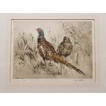 AFTER HENRY WILKINSON "Cock and Hen Pheasant" coloured etching,