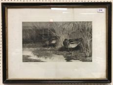 AFTER ARCHIBALD THORBURN "Snipe" black and white engraving,