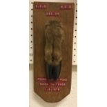 A Deer slot mounted on an oak plaque, bearing inscribed labels "R.C.G - M.D.