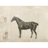 ATTRIBUTED TO ABRAHAM COOPER "Study of a Horse Jessy - It's Owner Mr Swailes and His Dog",