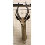 A taxidermy stuffed and mounted Gerenuk head and shoulder mount with horns by Rowland Ward,