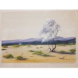 EULALIE MULFORD BANKS "California Desert Smoke Tree",
