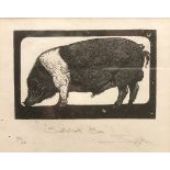 AFTER COLIN PAYNTON "Saddleback Boar", limited edition wood engraving No'd 29 from 50 titled,