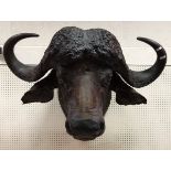 A taxidermy stuffed and mounted Cape Buffalo head with horns by Rowland Ward,