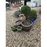 A collection of eight modern terracotta plant pots
