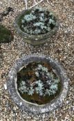 A pair of modern reconstituted stone urns of shallow circular form