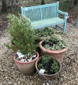 Five large terracotta plant pots