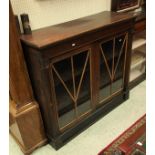 A Victorian mahogany two door display cabinet