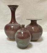 BRIDGET DRAKEFORD (Born 1946) - a slender necked vase with flared rim with sang de boeuf glaze,