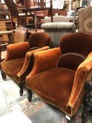 A pair of circa 1900 upholstered scroll arm tub chairs