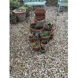 A collection of fourteen modern terracotta plant pots