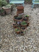 A collection of fourteen modern terracotta plant pots