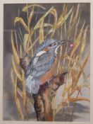 RONALD PARDOE "Kingfisher" watercolour s