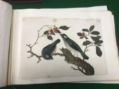 A collection of seven 19th Century Chine