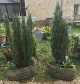 Two concrete garden planters