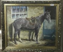 M M LATHAM "Harold", study of a grey hunter, oil on canvas, signed lower left, bears title,