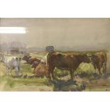 T LEWIS "Cattle in Field", watercolour, signed lower left,