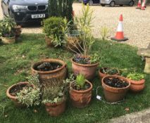 A collection of nine terracotta garden pots