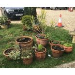 A collection of nine terracotta garden pots