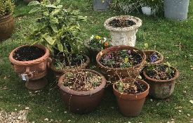 A collection of ten various terracotta and concrete garden pots