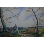 IAN SCOTT "Landscape, possibly of New Zealand", watercolour, signed lower left Size approx.