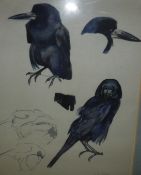 NORBERTINE BRESSLERN-ROTH (Austrian 1891-1978) "Studies of a Crow", watercolour,