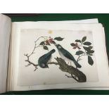 A collection of seven 19th Century Chinese School watercolour gouache studies of birds on rice