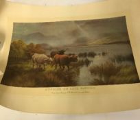 Three unframed colour prints of Highland cattle, AFTER H R HALL,