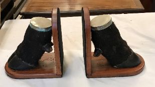 A pair of Water Buffalo hoof bookends with plated mounts, on hardwood bases,