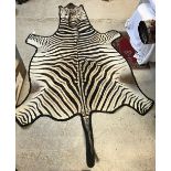 A Zebra pelt rug on black felt mount,
