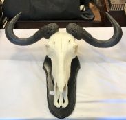 A Wildebeest skull and horns, on ebonised mount,