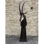 A taxidermy stuffed and mounted Sable shoulder mount, with horns, on pedestal of tapering form,