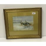 J HAMMOND HARWOOD "Pair of Lapwings on Beach", watercolour, heightened with white,