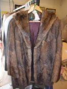 A collection of furs to include an ermine fur tippet, fox fur tippet,